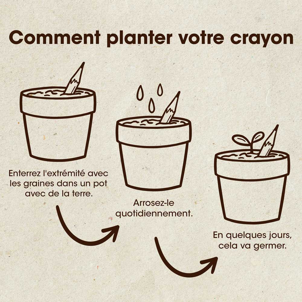 Crayon à planter